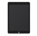 iPad Air 2 Screen